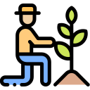 Figs Agriculture